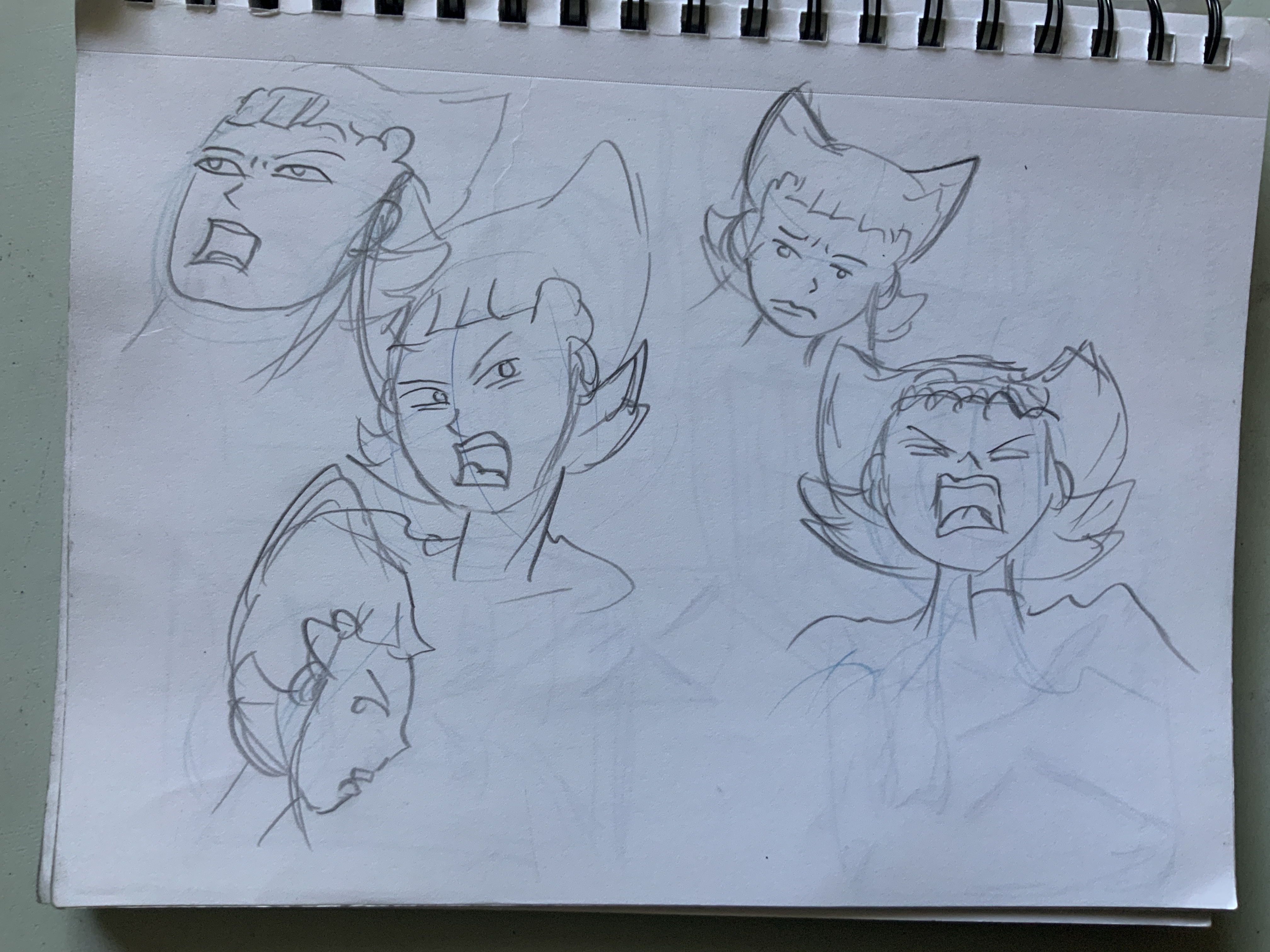 Gallow expressions 2.JPG